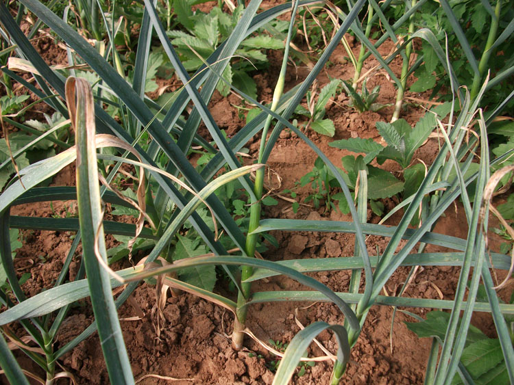 圖片 8.png 圖片 8.png