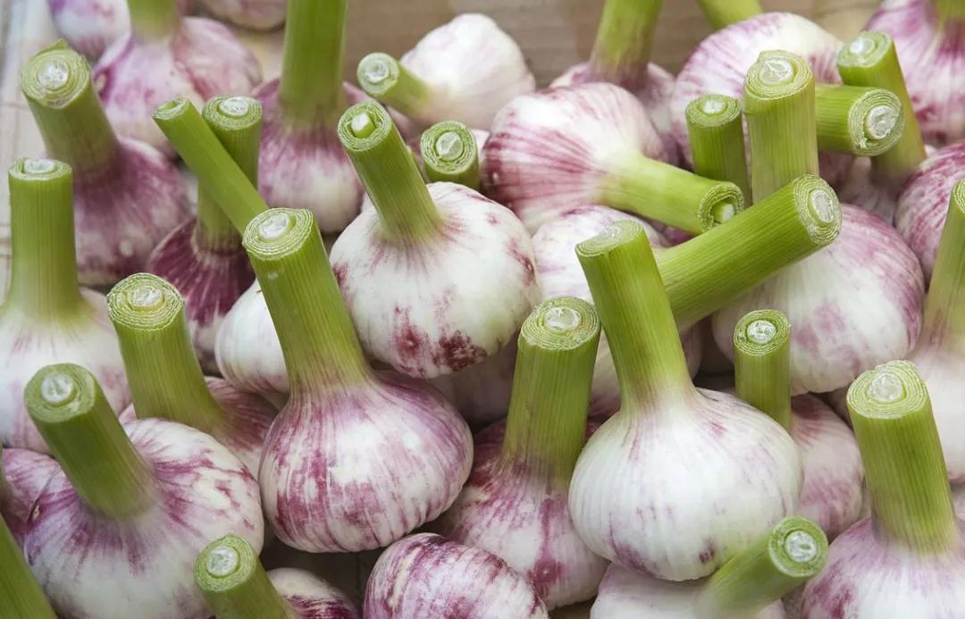 圖片 9.png 圖片 9.png