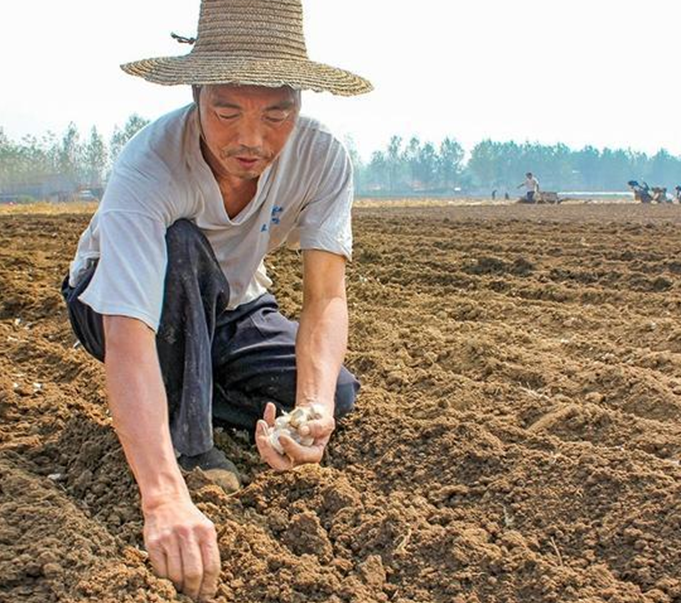 圖片 1.png 圖片 1.png