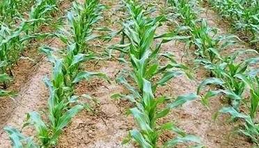 9212d9d3d3e8c3ec26866ca95d6c269.jpg 9212d9d3d3e8c3ec26866ca95d6c269.jpg