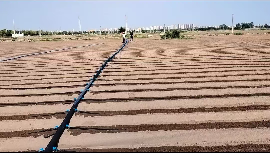 9f06f44b1645563ae14740e0eb9bbec.jpg 9f06f44b1645563ae14740e0eb9bbec.jpg