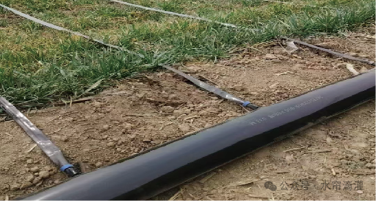 82085e6de4dc9a346ac7ed7d53bcc0a2_640_wx_fmt=png&from=appmsg&watermark=1&tp=webp&wxfrom=5&wx_lazy=1#imgIndex=1.png 82085e6de4dc9a346ac7ed7d53bcc0a2_640_wx_fmt=png&from=appmsg&watermark=1&tp=webp&wxfrom=5&wx_lazy=1#imgIndex=1.png